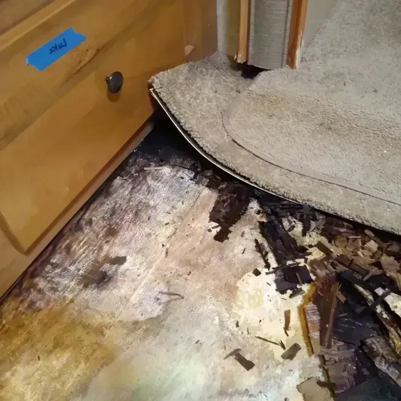 Wood Floor Water Damage in Syracuse, NY